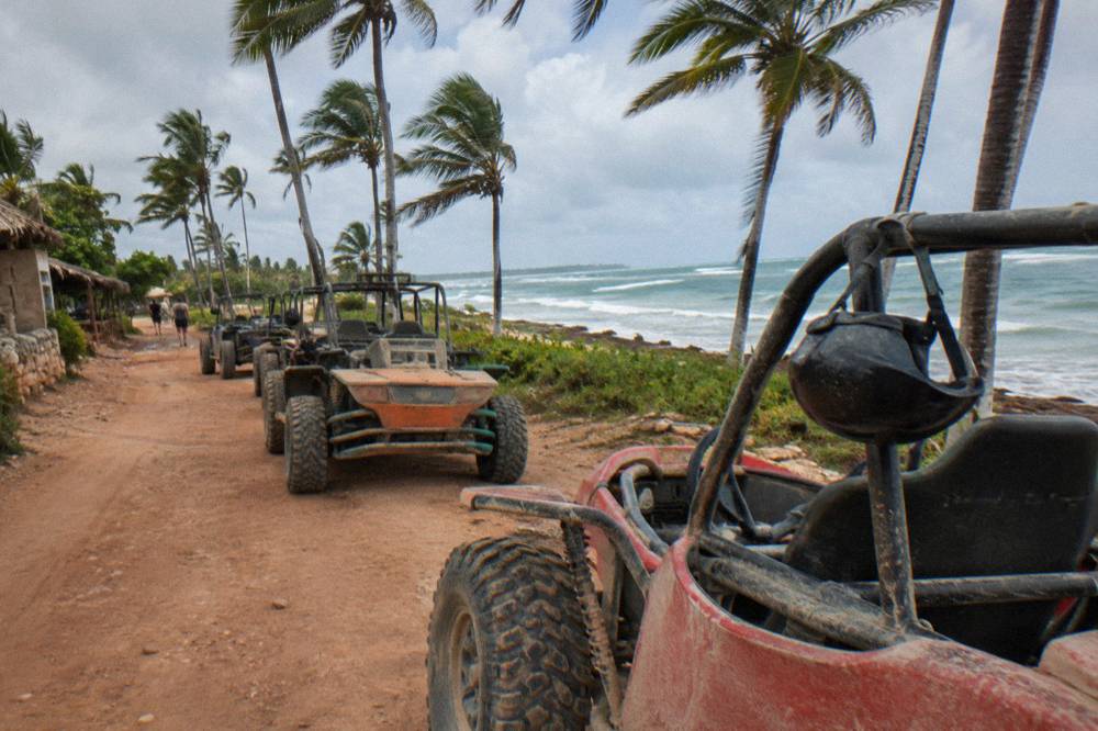A line of dune buggies parked on a dirt road beside palm trees