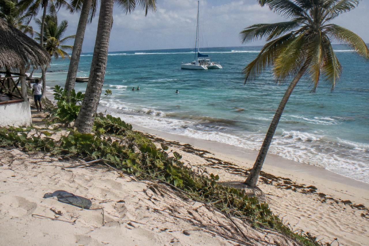 A catamaran anchored off a palm-lined Caribbean beach at midday