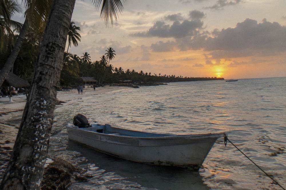 A calm bay at dusk with silhouetted palm trees and still water