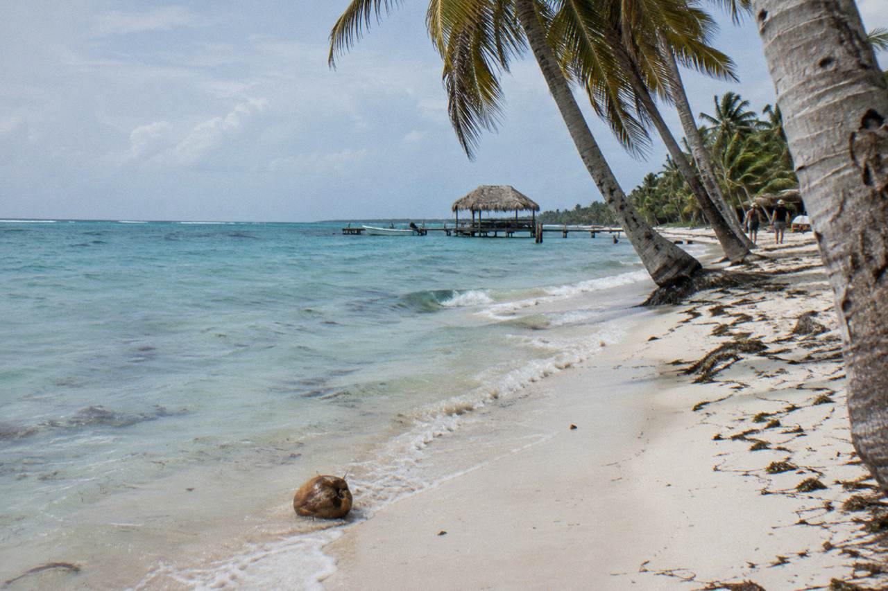 Palm trees leaning over an empty white sand beach beside calm turquoise water