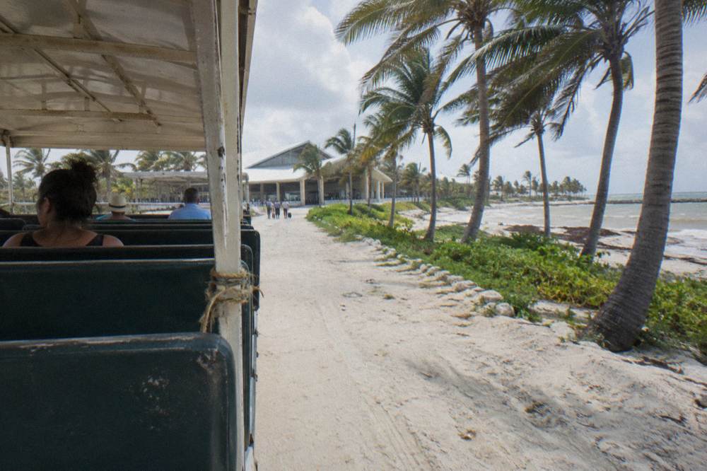 Open tour vehicle parked on a palm-lined road leading toward the airport terminal
