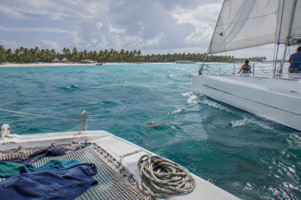 A catamaran under sail on calm turquoise water near a palm-lined shoreline