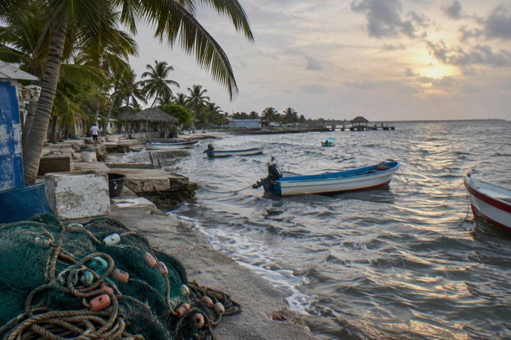 Small fishing boats moored along a calm Caribbean shoreline with palm trees