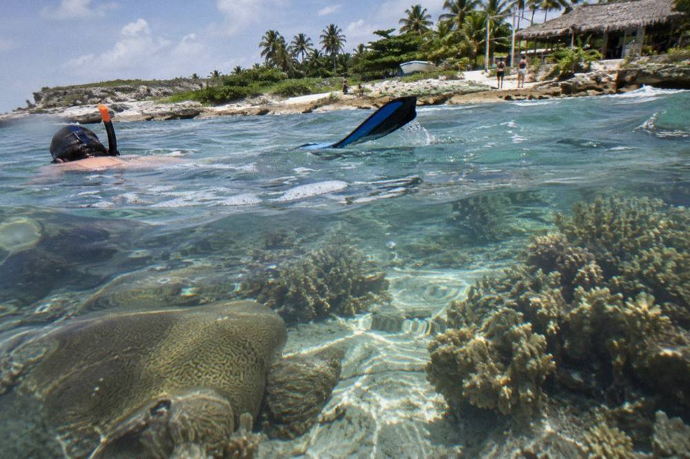 Clear shallow reef water with coral formations below the surface