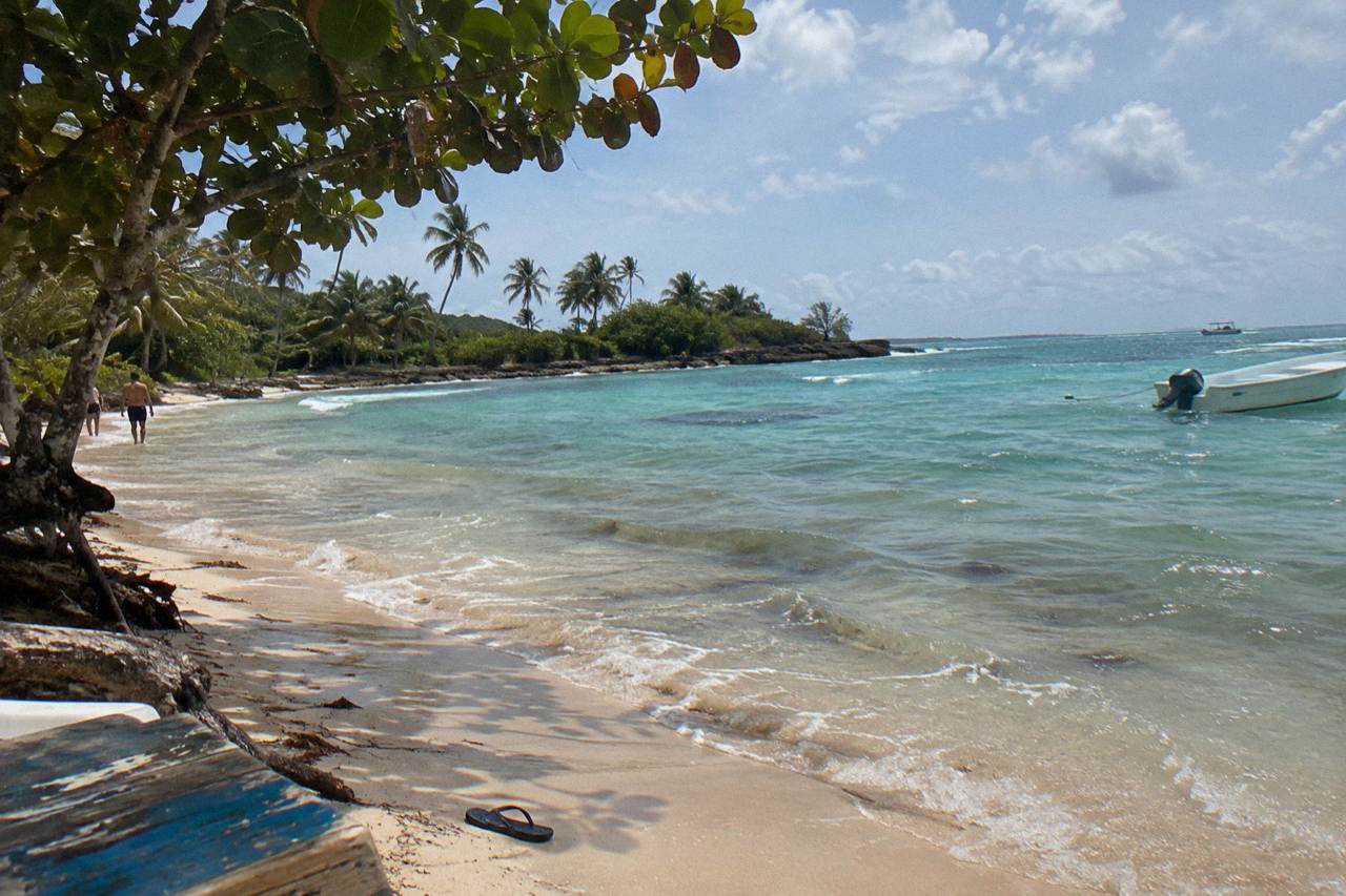 Turquoise shallow water and palm trees along a Caribbean island shoreline