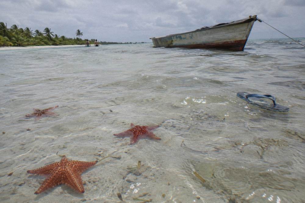 Shallow sandbar with clear water and starfish visible on the sand beside a moored boat