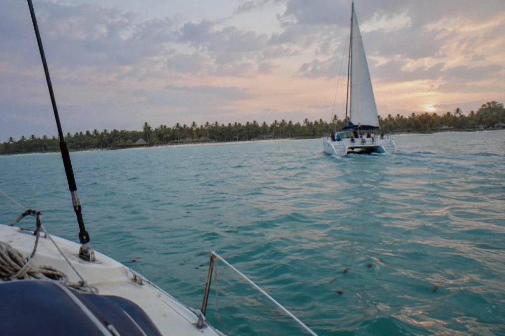 A catamaran with sails up crossing calm turquoise water toward a palm-lined island shoreline