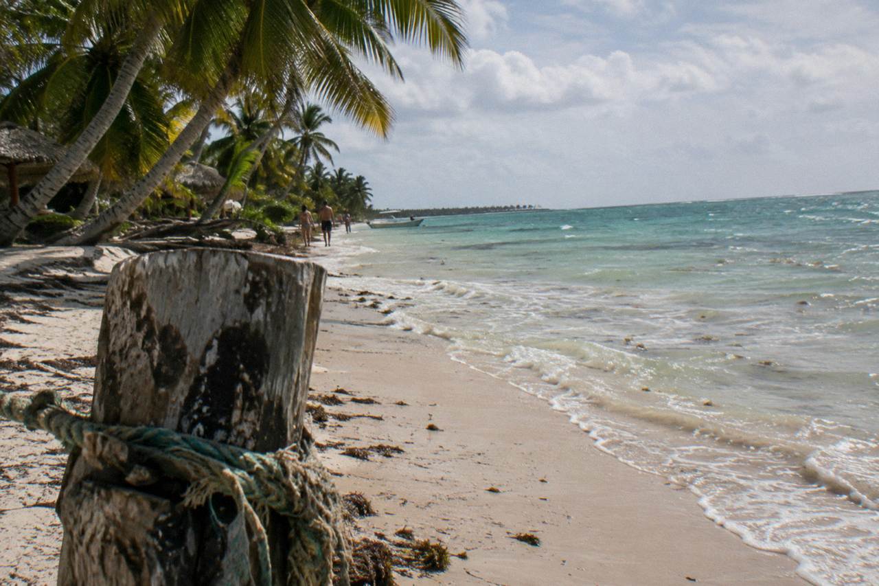 Wide palm-fringed white sand beach on Saona Island with calm turquoise shallows and a wooden mooring post