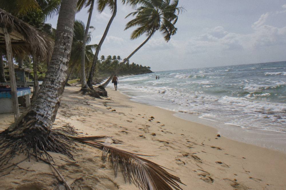 Empty golden beach curving between palm trees and gentle Atlantic surf.