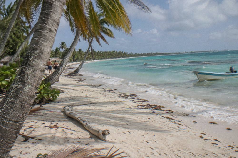 Palm trees leaning over a wide empty beach of white sand beside clear shallow turquoise sea