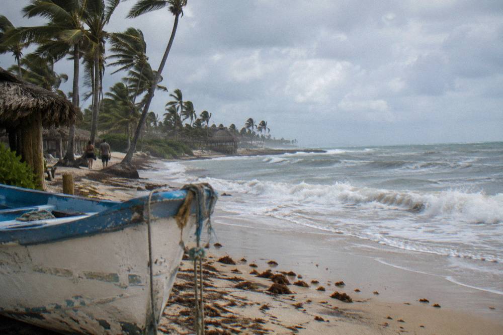 Windswept golden sand beach with rolling waves and a line of palm trees along the shore