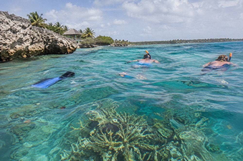 Snorkelers floating over a shallow reef in clear turquoise water near Punta Cana