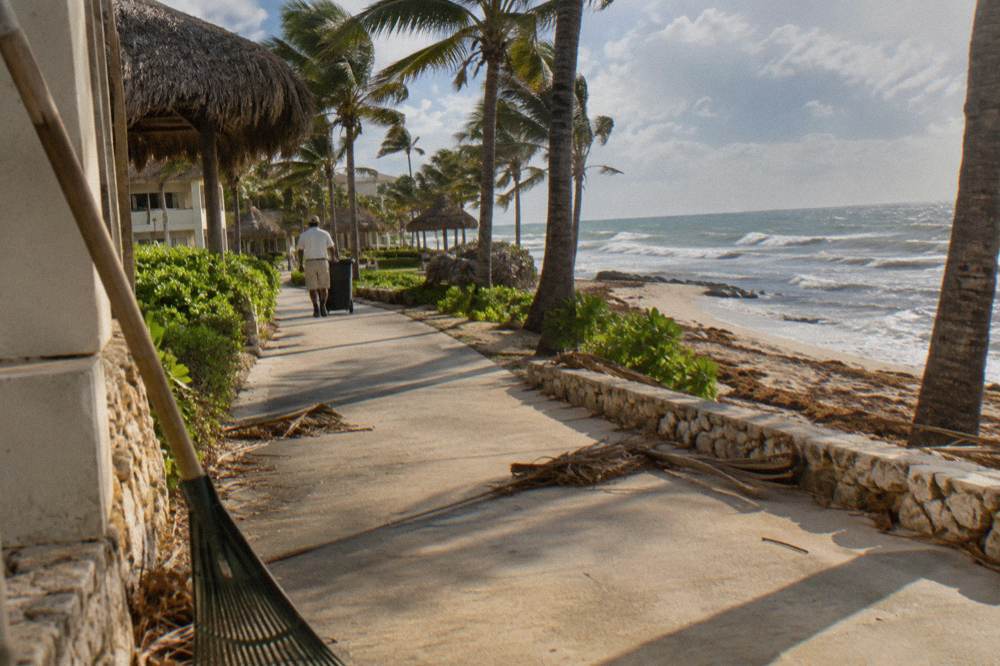 Palm trees along a resort walkway lit by late afternoon sun in Punta Cana