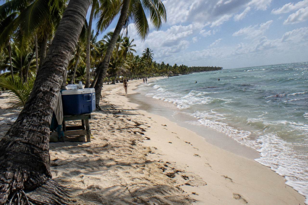 Wide view of a calm palm-lined beach in Punta Cana under a clear morning sky
