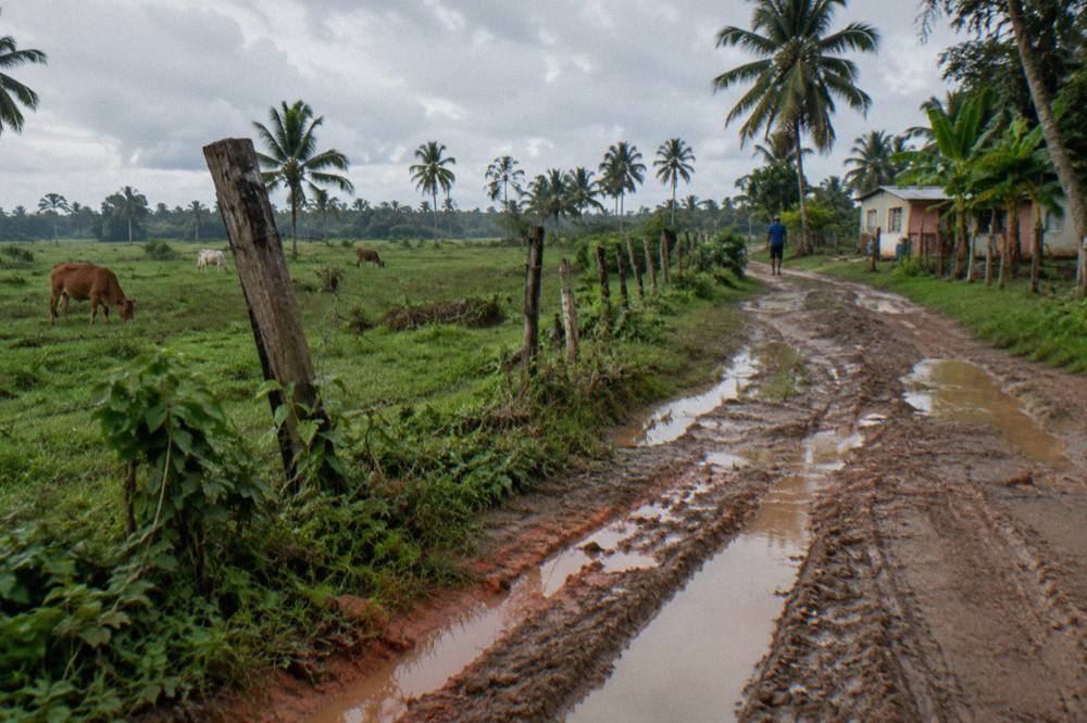 Muddy dune buggy trail winding through green farmland in the Dominican Republic