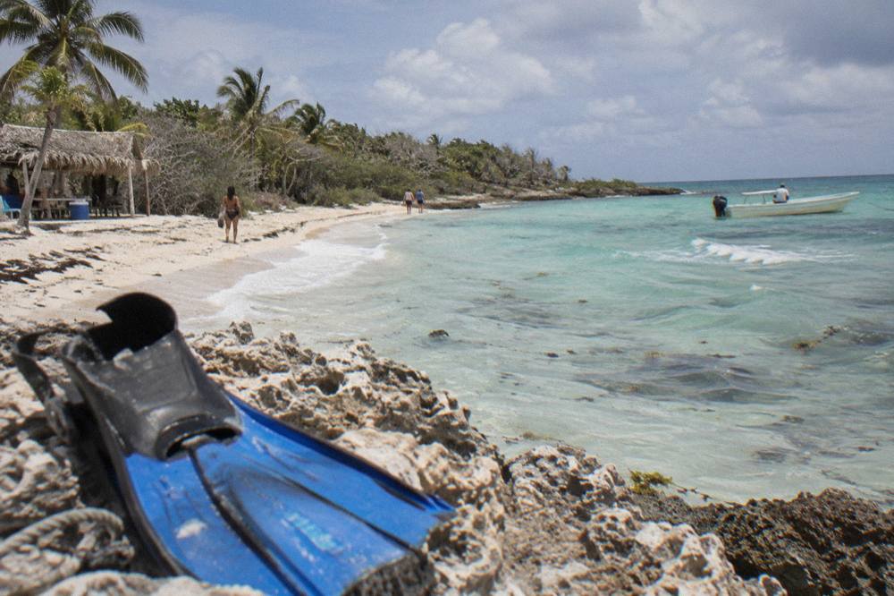 Palm-lined Caribbean beach with pale sand and calm turquoise shallows stretching along the coast