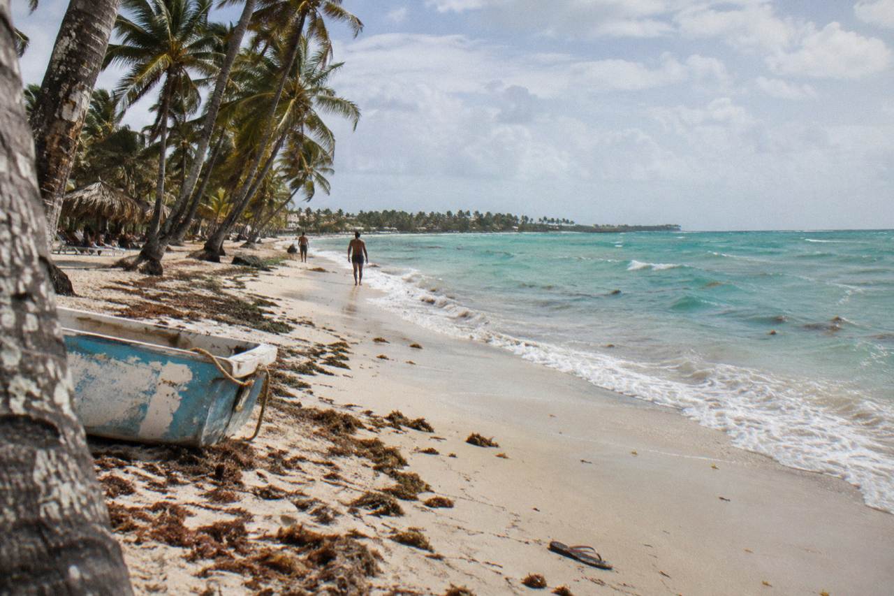 Wide view of a calm Caribbean beach with turquoise water and palm trees along the shore
