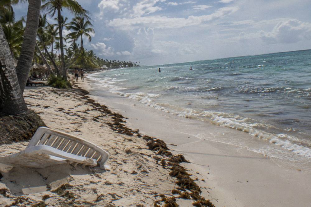A sandy beach in Punta Cana with calm turquoise water and a few patches of brown seaweed at the waterline