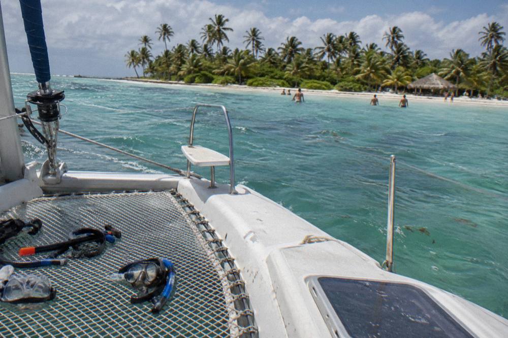 A catamaran anchored in clear shallow water near a palm-lined sandbar