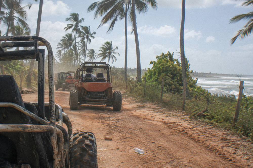 A line of dune buggies parked on a dirt trail beside palm trees