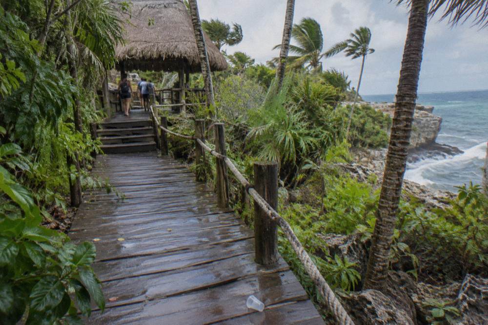 A wooden walkway through tropical forest leading to a thatched roof shelter