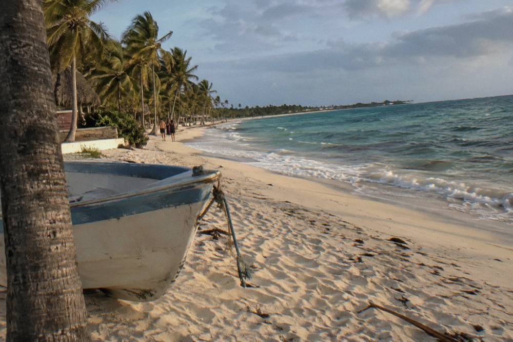 Empty white sand beach with palm trees and gentle turquoise waves under a clear sky