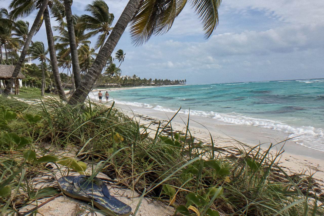 Palm trees leaning over a calm Caribbean beach with turquoise water and white sand