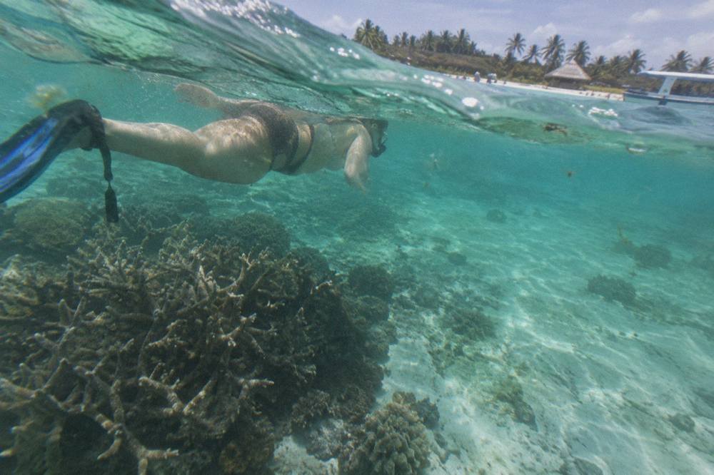 Snorkeler floating over a coral reef in clear shallow water