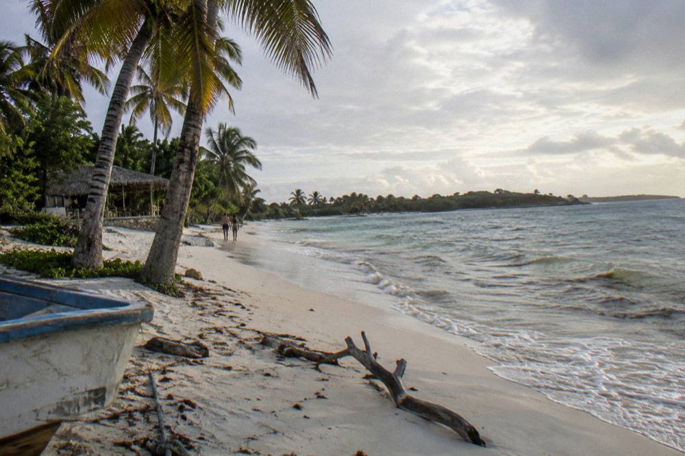 Empty white sand beach with leaning palms and calm shallow water at morning