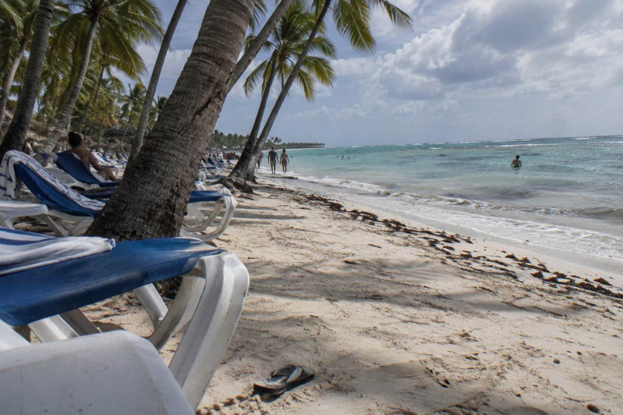 Palm-lined beach with calm turquoise water and lounge chairs under a clear sky