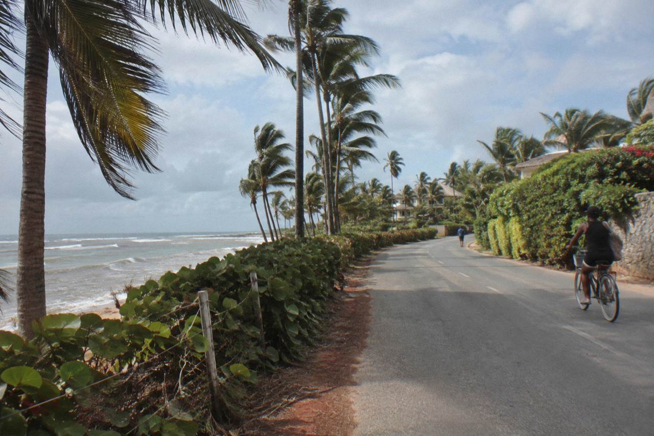 Open road lined with palm trees leading toward resort hotels in Punta Cana