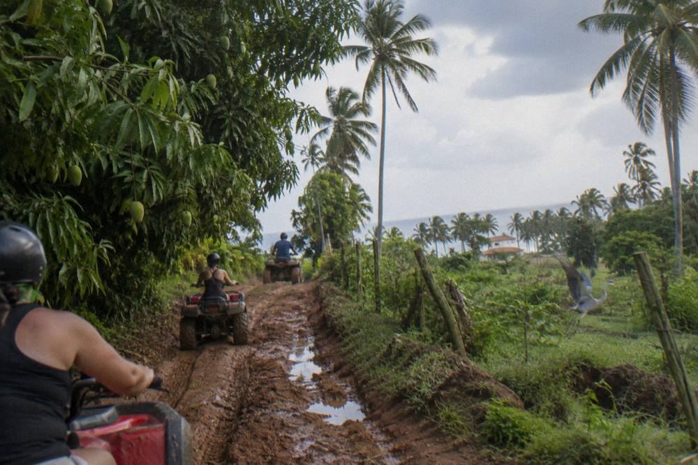 Line of ATVs traveling single file down a red dirt road between palm trees