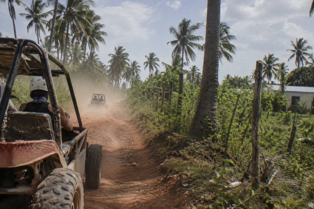 A convoy of dune buggies driving along a red dirt road between palm trees