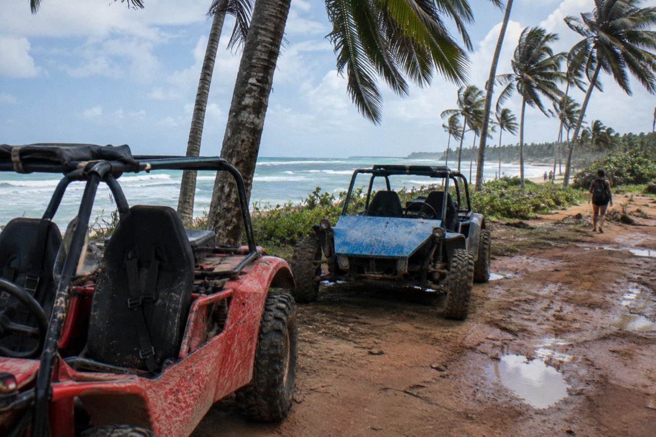A pair of dune buggies parked on a muddy trail beside palm trees near a Caribbean beach