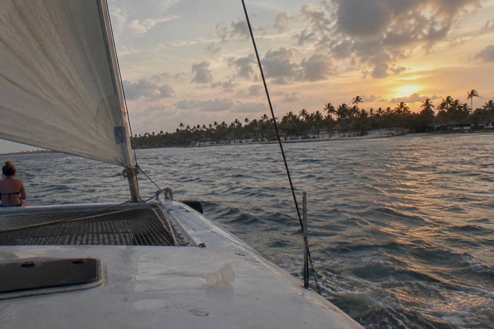 A catamaran sailing along the coastline with palm trees visible on shore