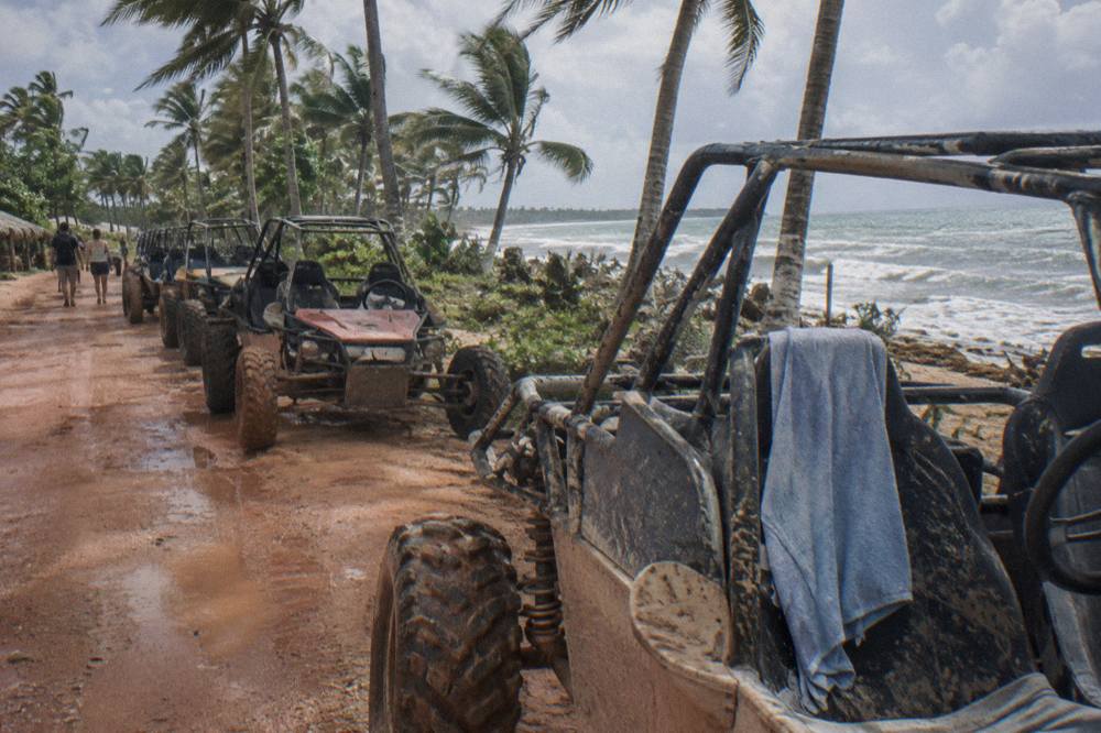 A line of parked dune buggies on a dirt road beside palm trees