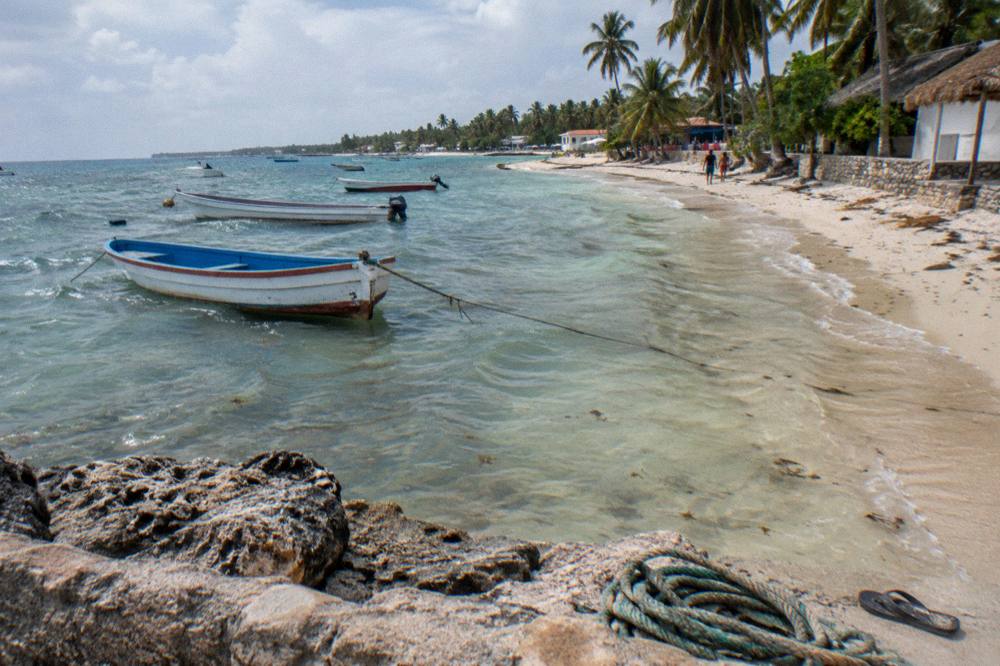 A white sand beach with calm shallow water and palm trees at midday