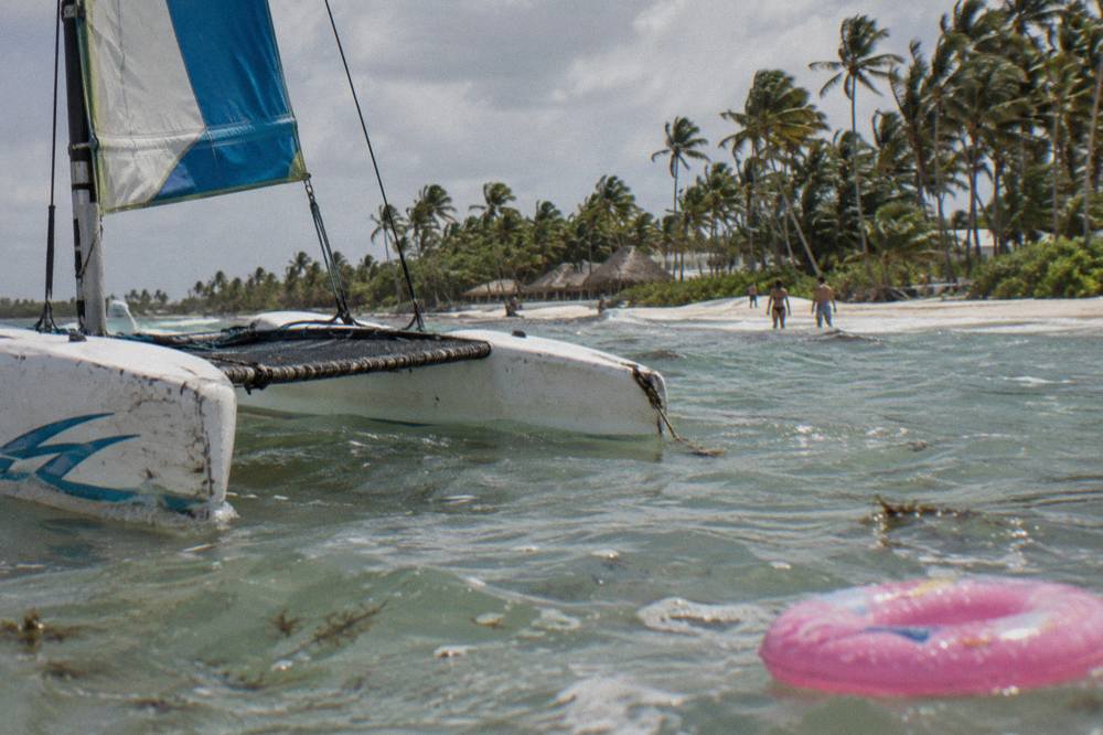 Catamaran anchored beside a shallow sandbar with palm trees in clear water