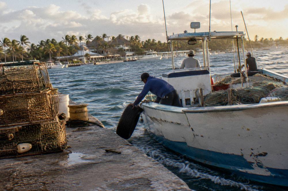 Fishing boat returning to a marina dock in late afternoon light with the coastline behind