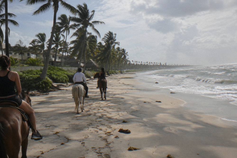 Riders on horseback walking along a wide empty beach lined with palm trees
