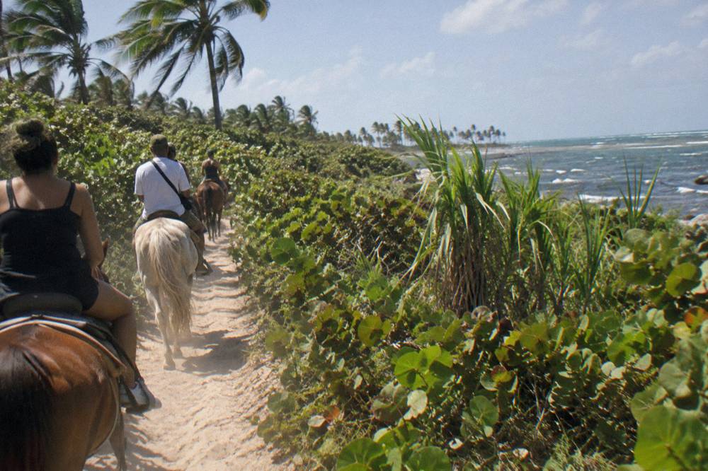 A guided line of horses and riders walking a sandy trail through low tropical brush