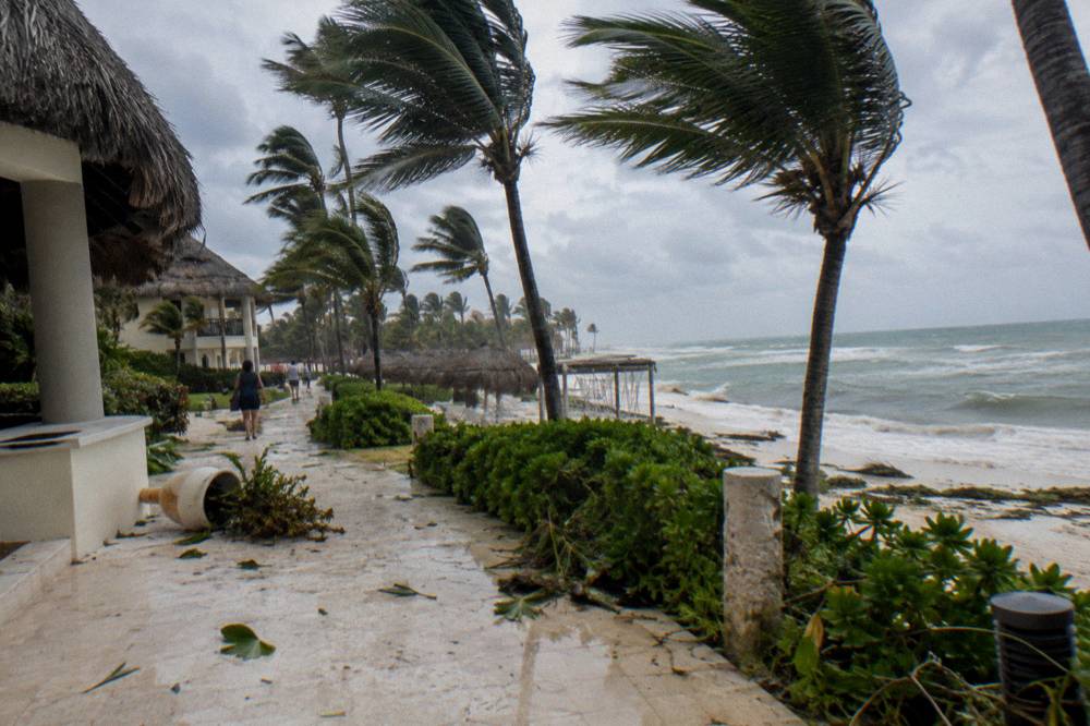 Palm fronds moving in strong wind above a resort walkway in Punta Cana