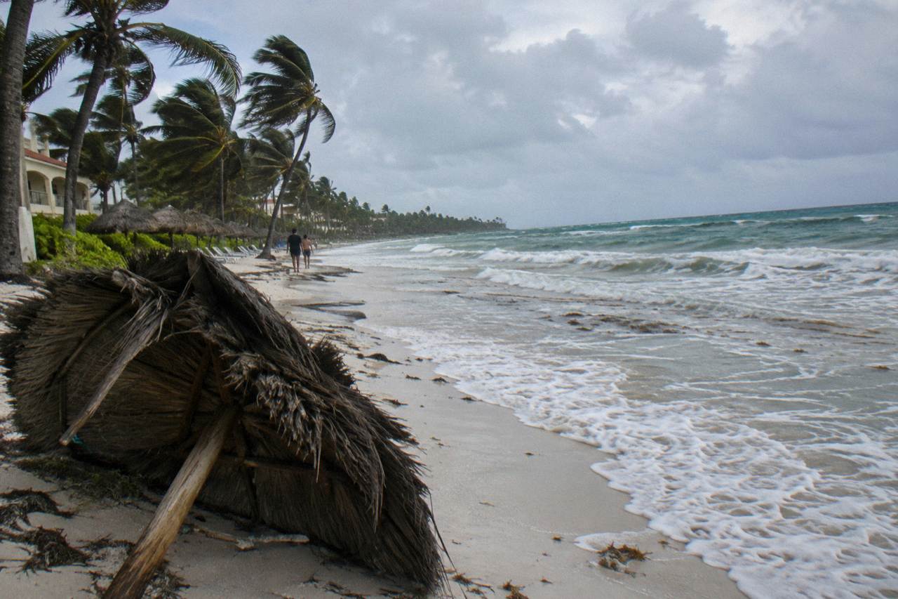 Palm trees bending along an empty Punta Cana beach under a grey afternoon sky