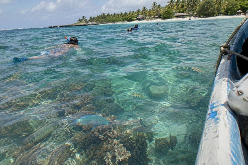 Snorkelers floating above a shallow reef in clear sunlit water