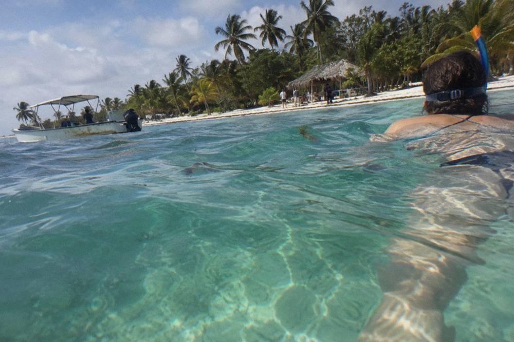 A swimmer in a snorkel mask floating over shallow clear water