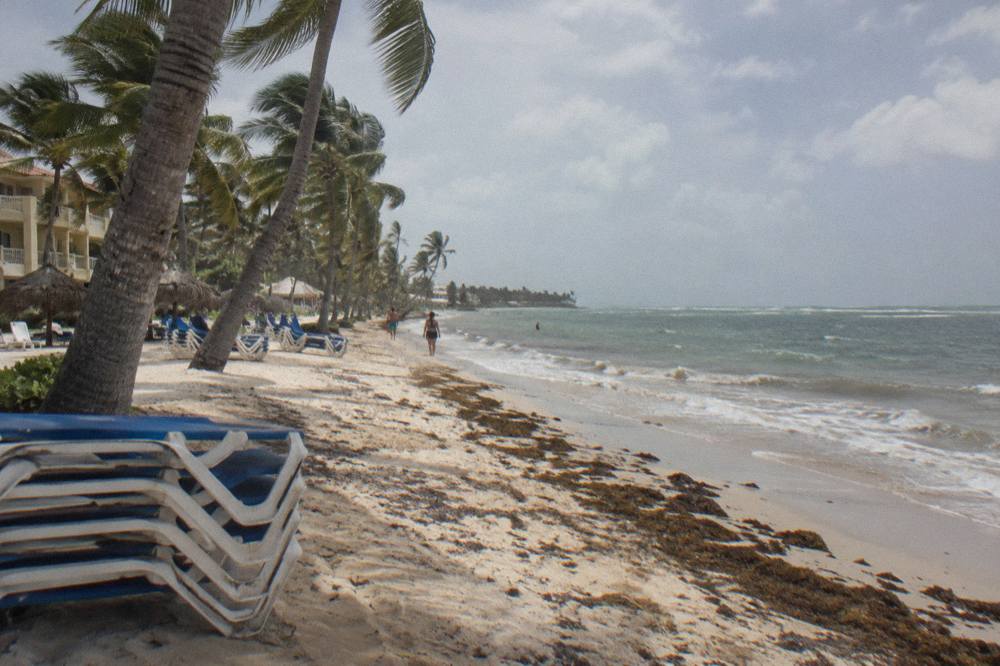 Empty beach chairs under palm trees along a wide Caribbean shoreline