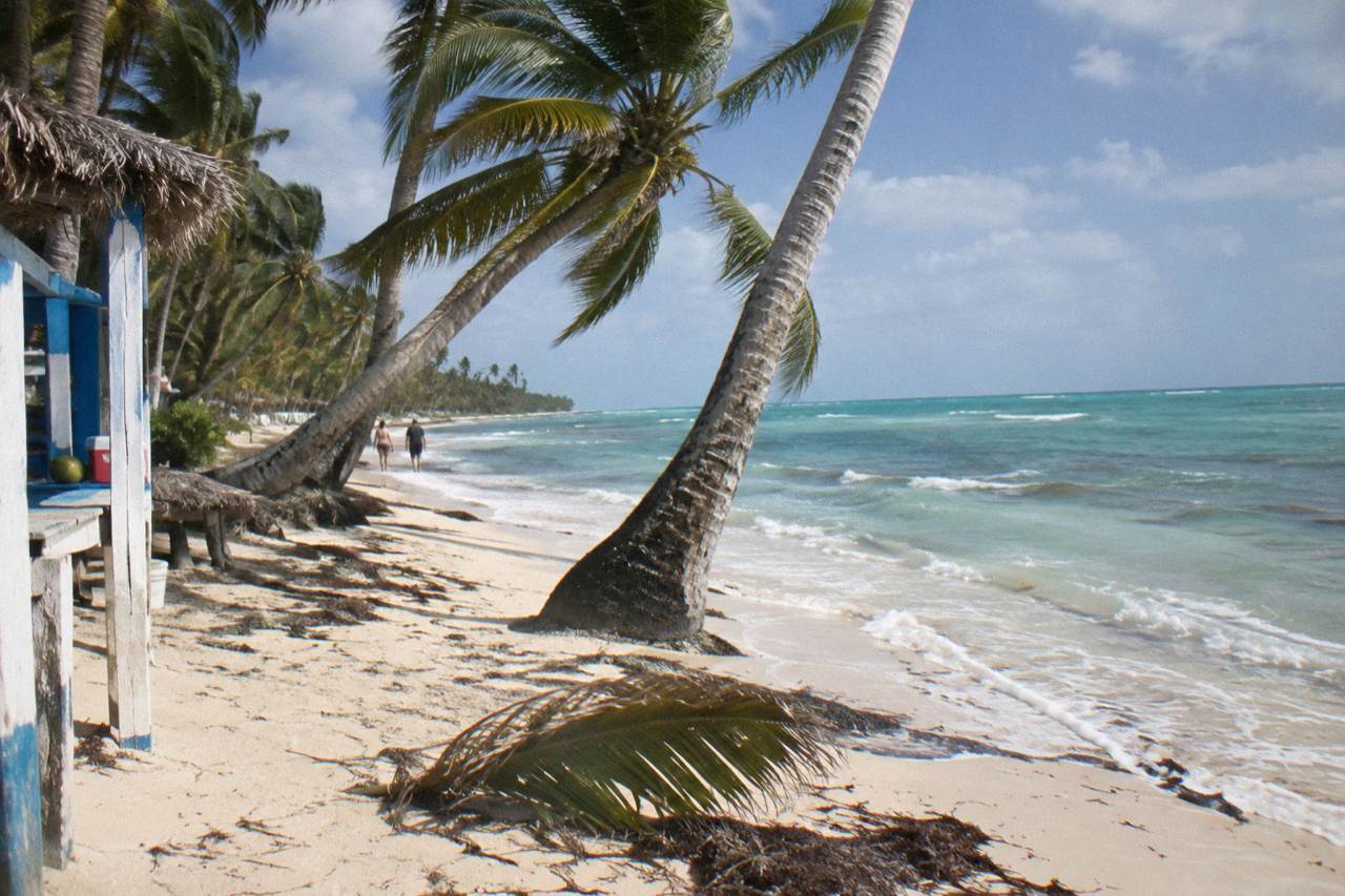 Palm trees leaning over a calm Caribbean beach with scattered white clouds