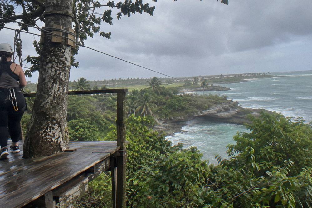 Wooden zipline platform built against a tall tree in dense tropical forest