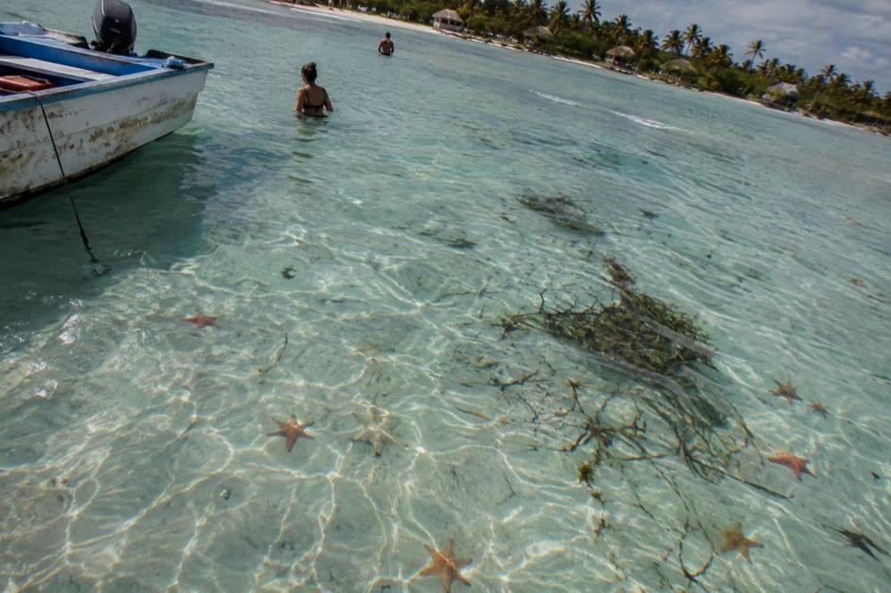 Shallow clear water over pale sand with scattered starfish on the seabed