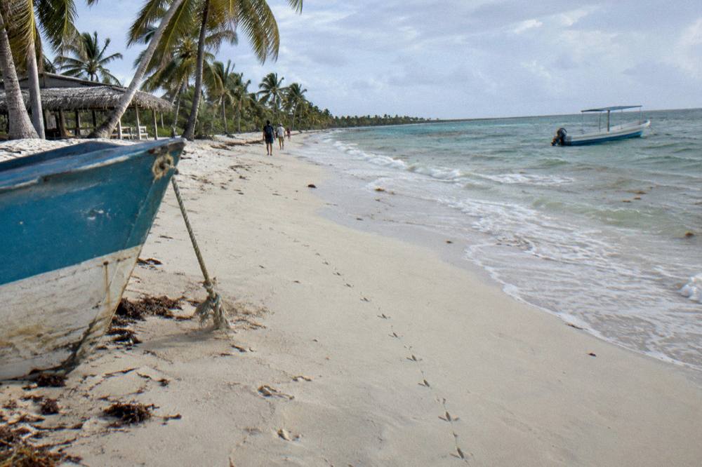 Empty white sand beach with leaning coconut palms in morning light